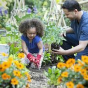 Organic Gardening Ideas To Get Started