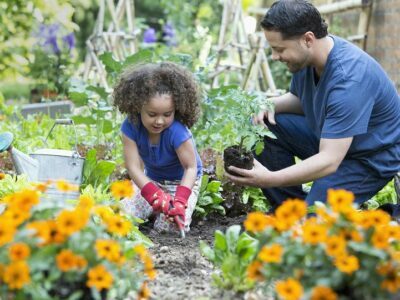 Organic Gardening Ideas To Get Started