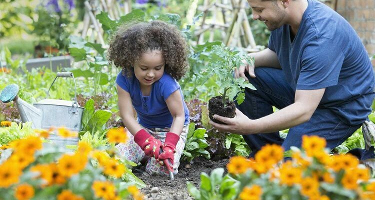 Organic Gardening Ideas To Get Started