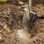 Tips on Moving Your Gardening Tools and Plants