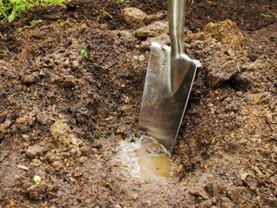 Tips on Moving Your Gardening Tools and Plants