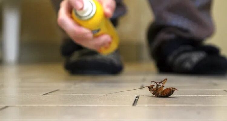 pest control