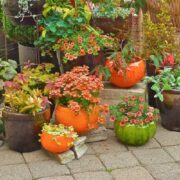 Gardening Containers