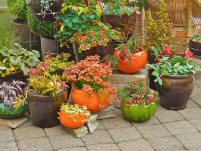Gardening Containers