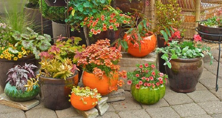 Why Gardening Containers Are The Best Choice For Every Gardener Gardening Containers